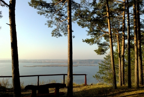 The Exposure of Dovainionys