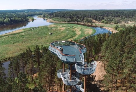 Forest Trail 56. Merkinė – Nemunaitis.