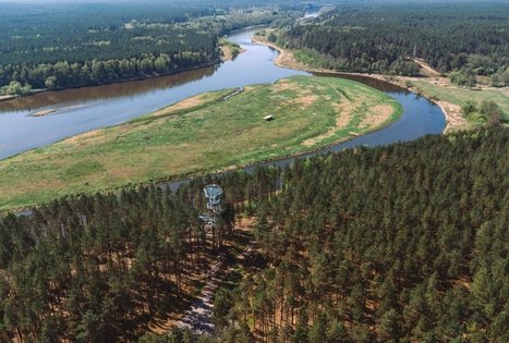 Forest Trail 56. Merkinė – Nemunaitis.