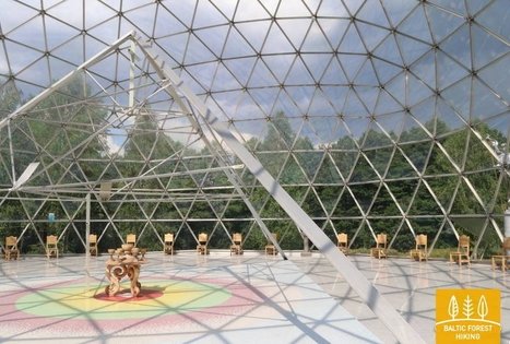 Merkinė bioenergetic pyramid