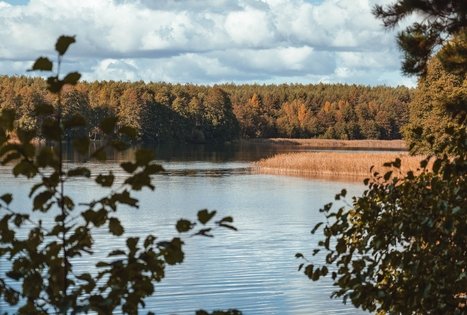 Forest Trail 52. Veisiejai – Trikojis.