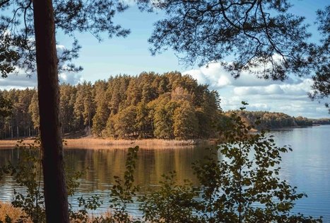 Forest Trail 52. Veisiejai – Trikojis.