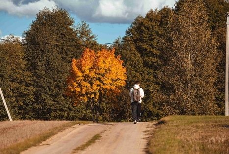 Forest Trail 53. Trikojis – Didžiasalis.