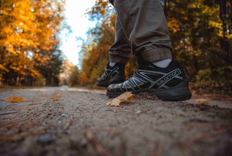 Forest Trail 53. Trikojis – Didžiasalis.