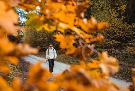 Forest Trail 53. Trikojis – Didžiasalis.