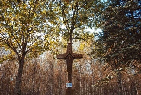 Forest Trail 53. Trikojis – Didžiasalis.