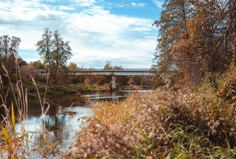 Forest Trail 55. Žiogeliai – Merkinė.