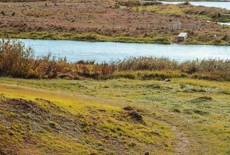 Forest Trail 55. Žiogeliai – Merkinė.