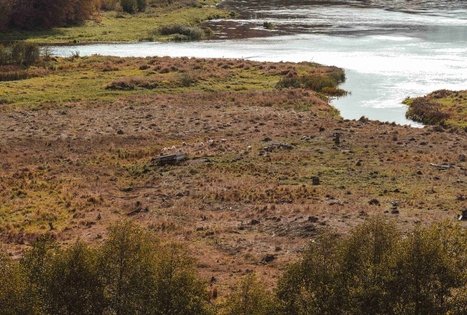 Forest Trail 55. Žiogeliai – Merkinė.