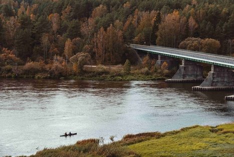 Forest Trail 55. Žiogeliai – Merkinė.