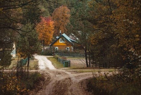 Forest Trail 55. Žiogeliai – Merkinė.