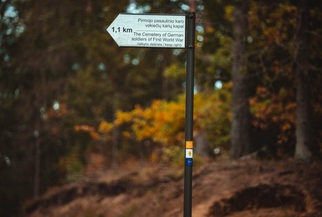 Forest Trail 55. Žiogeliai – Merkinė.