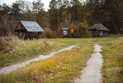 Forest Trail 55. Žiogeliai – Merkinė.