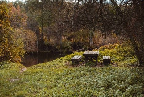 Forest Trail 55. Žiogeliai – Merkinė.