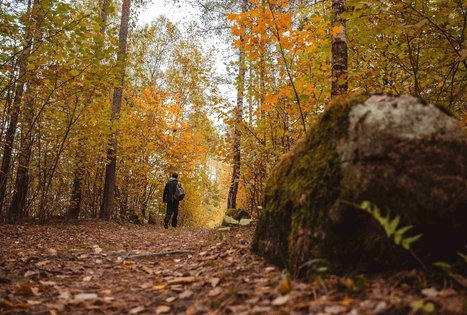Forest Trail 56. Merkinė – Nemunaitis.