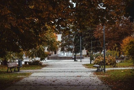 Miško Takas 57. Nemunaitis – Alytus.