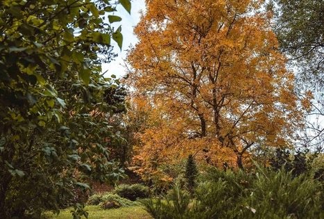 Miško Takas 57. Nemunaitis – Alytus.