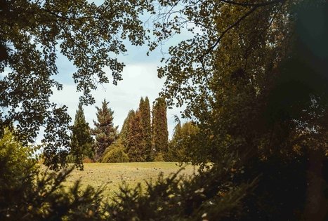 Miško Takas 57. Nemunaitis – Alytus.