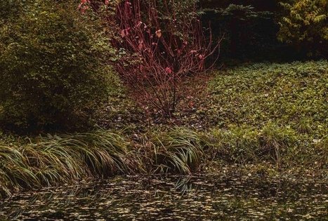 Miško Takas 57. Nemunaitis – Alytus.