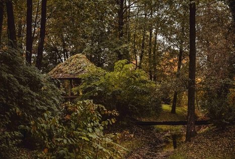 Miško Takas 57. Nemunaitis – Alytus.