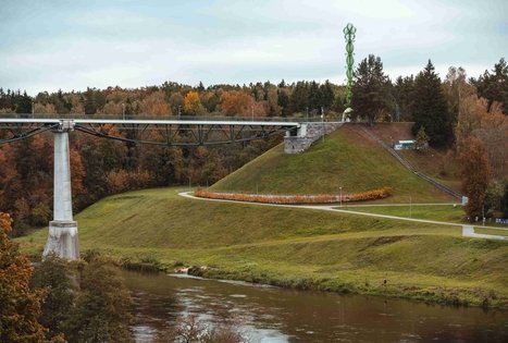 Miško Takas 57. Nemunaitis – Alytus.