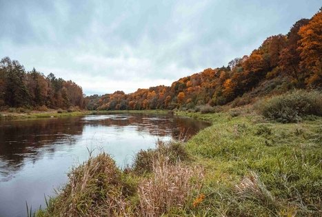Miško Takas 58. Alytus – Panemunis.