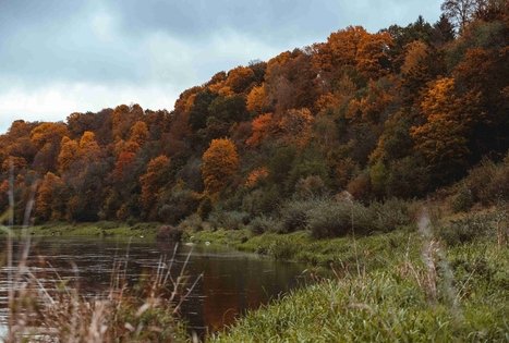 Miško Takas 58. Alytus – Panemunis.