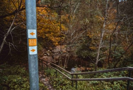 Miško Takas 58. Alytus – Panemunis.