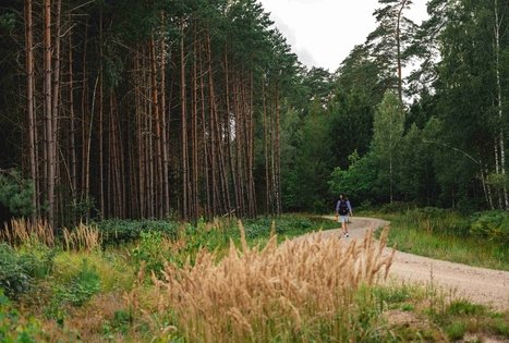 Forest Trail 59. Panemunis – Birštonas.