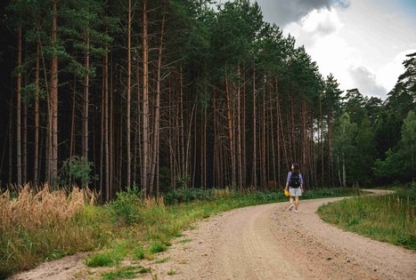 Forest Trail 59. Panemunis – Birštonas.