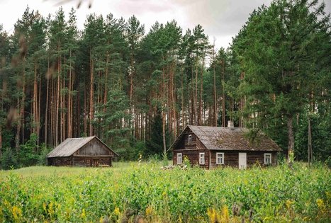 Forest Trail 59. Panemunis – Birštonas.