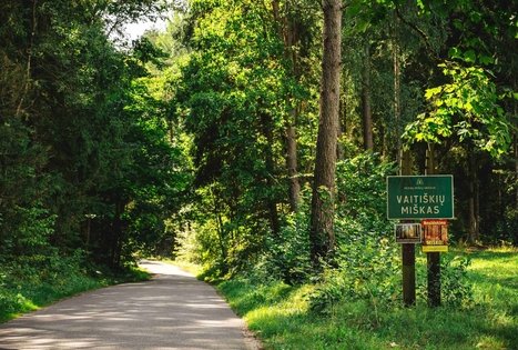 Forest Trail 59. Panemunis – Birštonas.