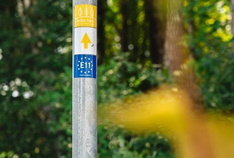 Forest Trail 59. Panemunis – Birštonas.