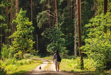 Forest Trail 59. Panemunis – Birštonas.