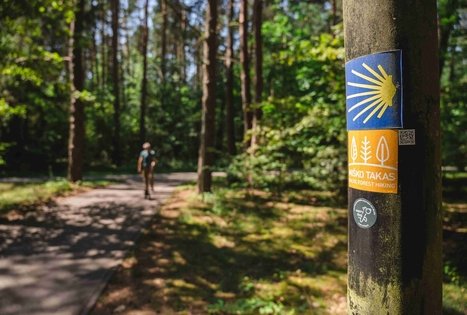 Forest Trail 60. Birštonas – Alksniakiemis.
