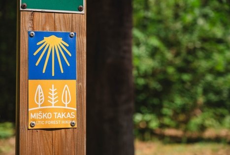 Forest Trail 60. Birštonas – Alksniakiemis.