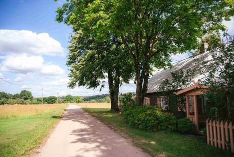 Forest Trail 61. Alksniakiemis – Pakuonis.