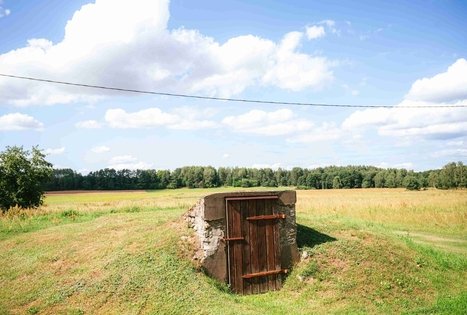 Forest Trail 61. Alksniakiemis – Pakuonis.