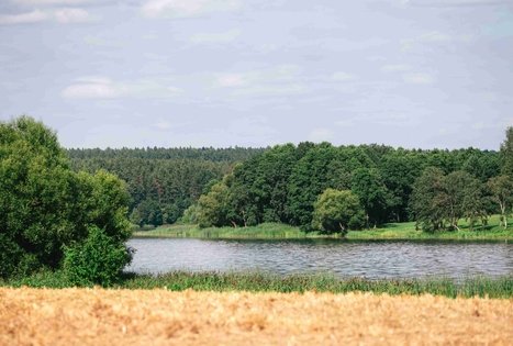 Forest Trail 61. Alksniakiemis – Pakuonis.