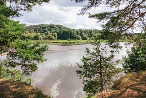 Forest Trail 61. Alksniakiemis – Pakuonis.