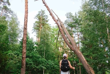 Forest Trail 61. Alksniakiemis – Pakuonis.