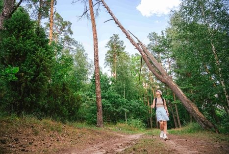 Forest Trail 61. Alksniakiemis – Pakuonis.