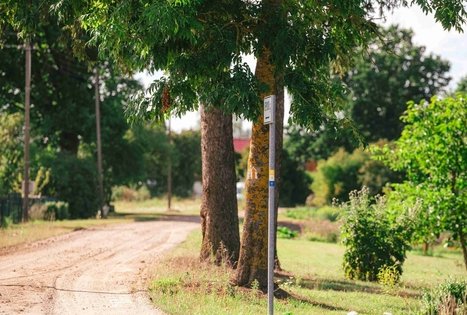 Forest Trail 61. Alksniakiemis – Pakuonis.