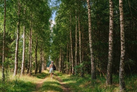 Forest Trail 61. Alksniakiemis – Pakuonis.