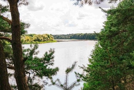 Forest Trail 61. Alksniakiemis – Pakuonis.