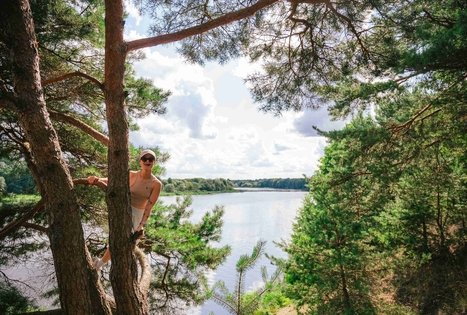 Forest Trail 61. Alksniakiemis – Pakuonis.