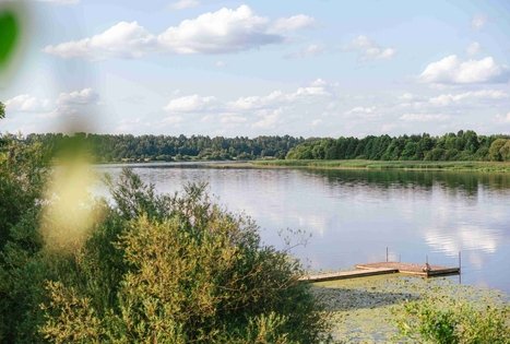 Forest Trail 61. Alksniakiemis – Pakuonis.