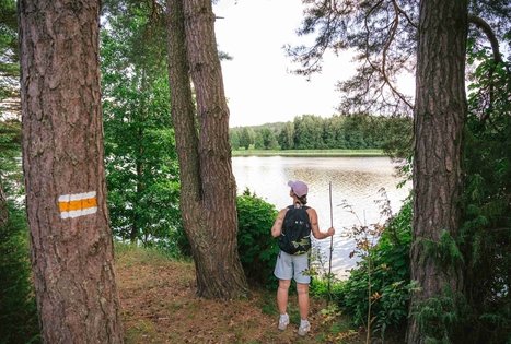 Forest Trail 61. Alksniakiemis – Pakuonis.