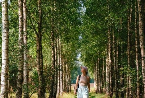 Forest Trail 61. Alksniakiemis – Pakuonis.