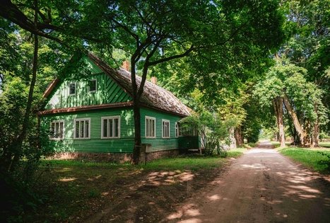 Forest Trail 61. Alksniakiemis – Pakuonis.